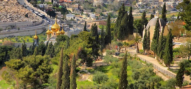 Monte de los Olivos