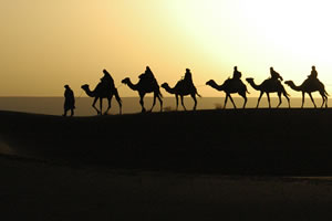 Folleto Donde Todo Comenzó tour a Israel, Jordania y Egipto