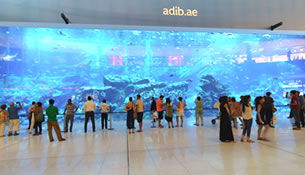 Viaje a Dubai 